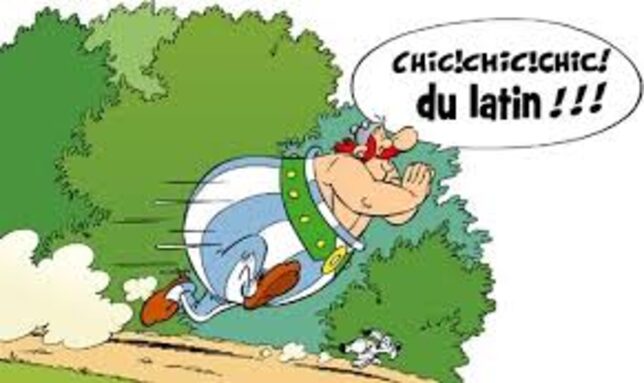 chic du latin !.jpg